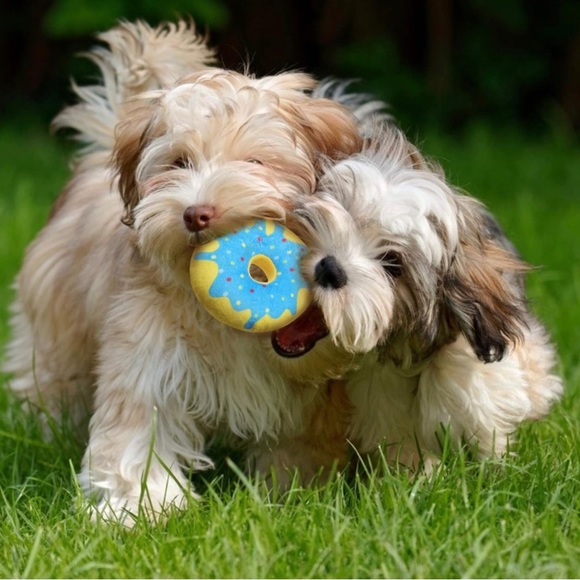 Meet your Posh star, RKRANTZ ! Come shop with me!!!!! - Picture 4 of 11